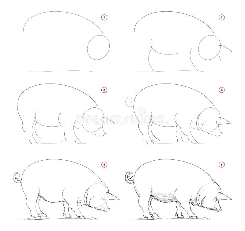 How to draw sketch of imaginary domestic pig. Creation step by step pencil drawing. Education for artists. Textbook for developing artistic skills. Hand-drawn vector illustration How to draw sketch of imaginary domestic pig. Creation step by step pencil drawing. Education for artists. Textbook for developing artistic skills. Hand-drawn vector illustration