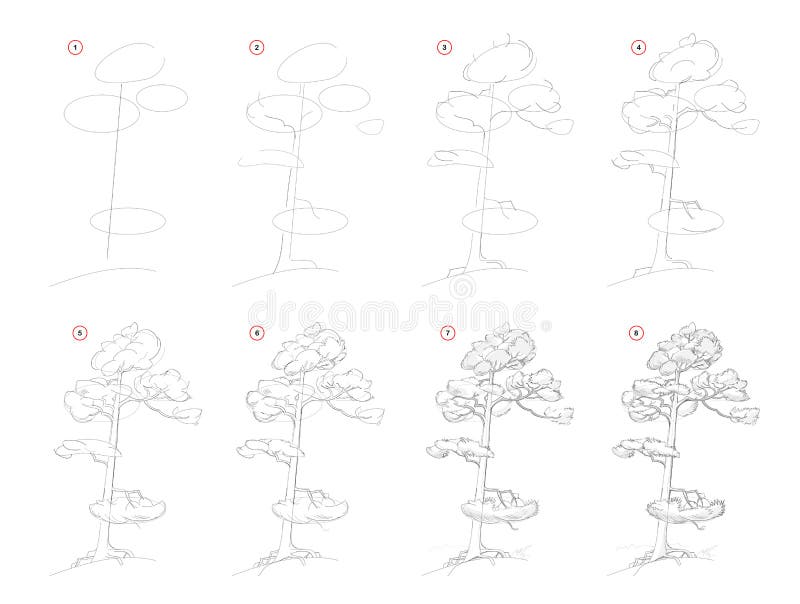 How to draw sketch of pine tree. Creation step by step pencil drawing. Educational page for artists. Textbook for developing artistic skills. Hand-drawn vector stock illustration