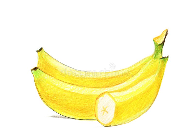Image of a bunch of bananas. Drawing with colored pencils, isolated on white background.  vector illustration