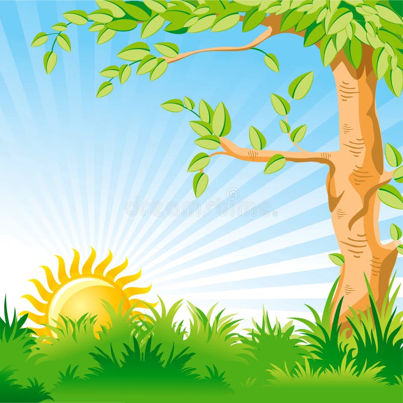 Landscape with a Sunrise and large tree stock illustration Landscape with a Sunrise and large tree stock illustration