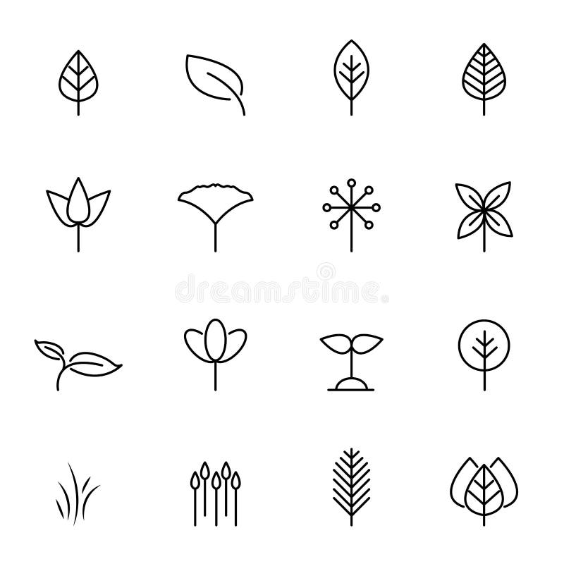 Leaf icon set vector. Nature and symbol concept. Thin line icon theme. White isolated background. Illustration vector royalty free illustration