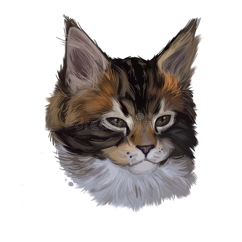 Maine coon kitten watercolor portrait of small cat digital art illustration. Realistic drawing of kitty with long and furry coat. Maine coon kitten watercolor vector illustration