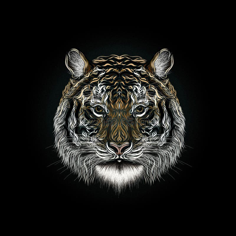 The majestic tiger, painted smooth lines, on a black background. royalty free illustration The majestic tiger, painted smooth lines, on a black background. royalty free illustration