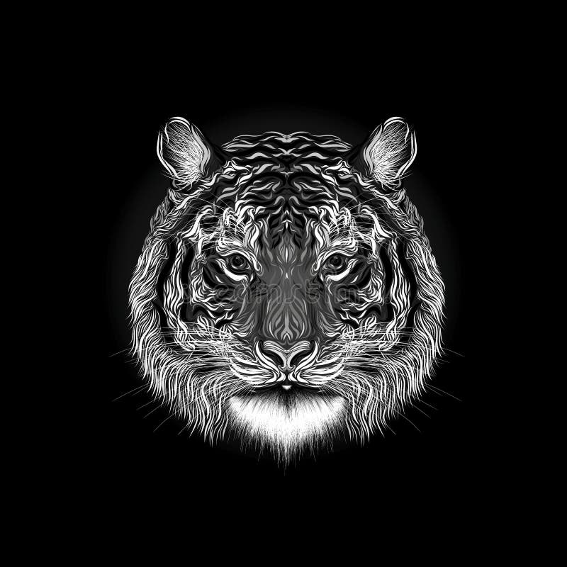 Majestic tiger, painted smooth lines, on a dark background. stock illustration Majestic tiger, painted smooth lines, on a dark background. stock illustration