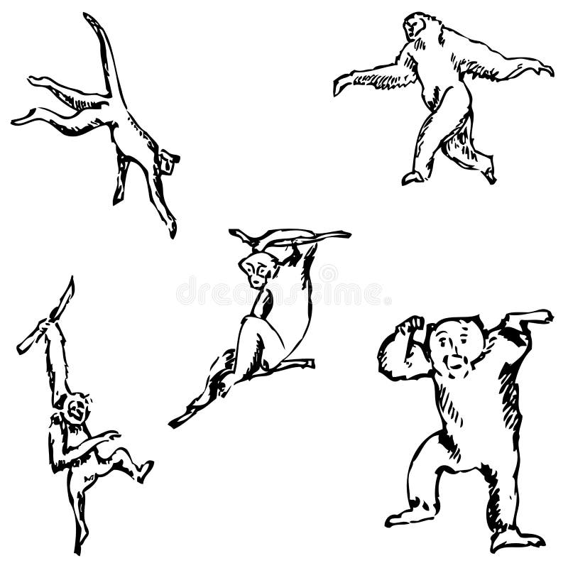 Monkey. A sketch by hand. Pencil drawing. Vector image vector illustration