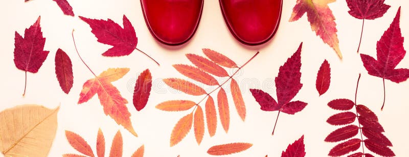 Multicolored autumn leaves and red rubber boots. Autumn background royalty free stock photography