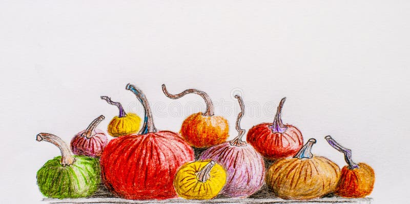 Multicolored pumpkins. Painted pencil. hand draw royalty free illustration