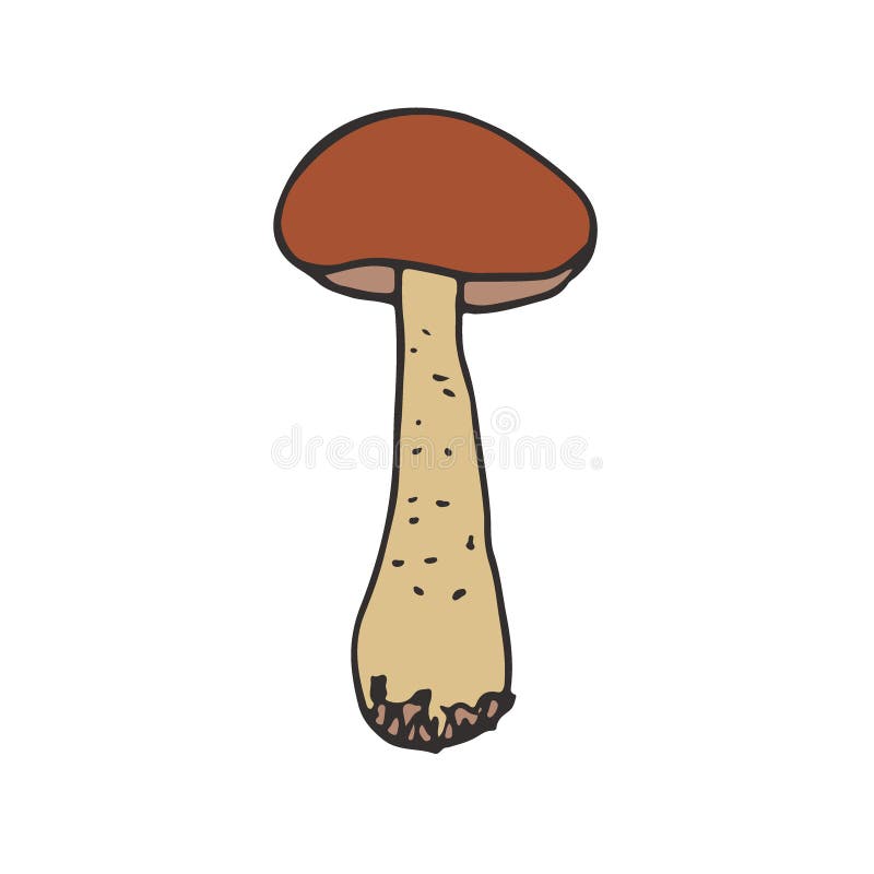 Mushroom icon design. Vegan sticker and patch. Brown cap boletus. vector illustration