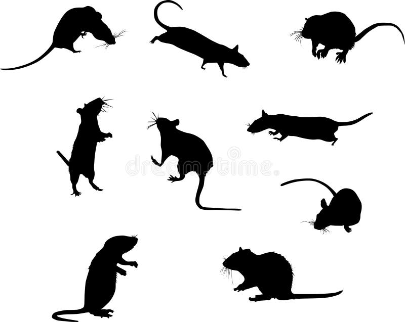 Nine rat silhouettes. Isolated on white background vector illustration