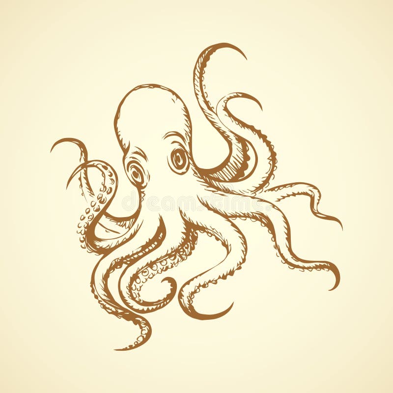 Octopus. Vector drawing stock illustration
