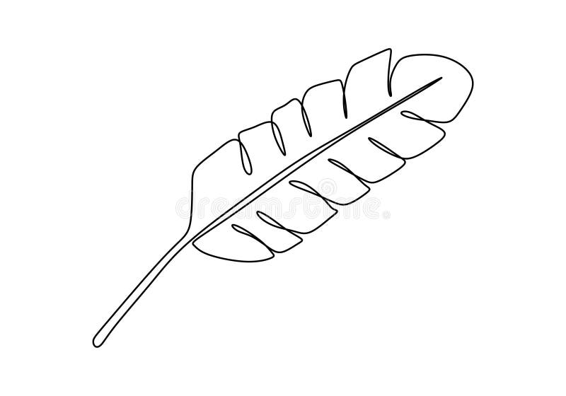 One line drawing banana leaf continuous plant design element good for poster minimalism style vector illustration on white royalty free illustration