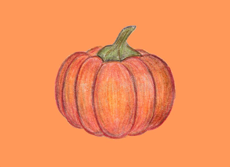 Orange pumpkin illustration. Autumn graphic icon. Halloween or Thanksgiving print. Colored Pencil drawing. Hand drawn royalty free illustration