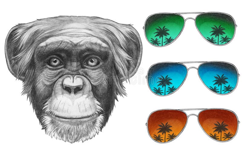 Original drawing of Monkey with mirror sunglasses. Isolated on white background stock illustration