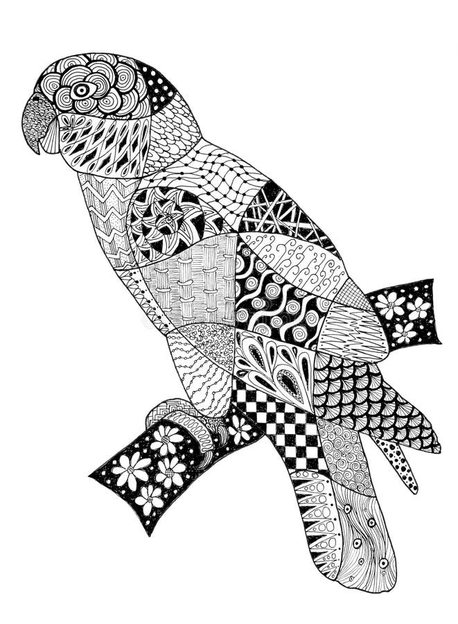 Original zentangles drawing of a parrot. royalty free illustration