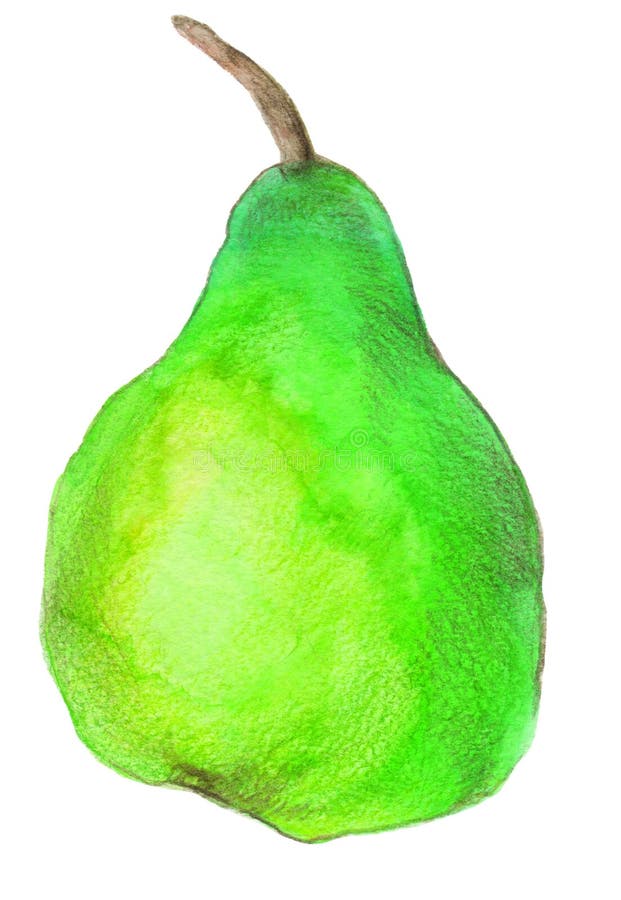 Pear painted with a watercolor royalty free illustration