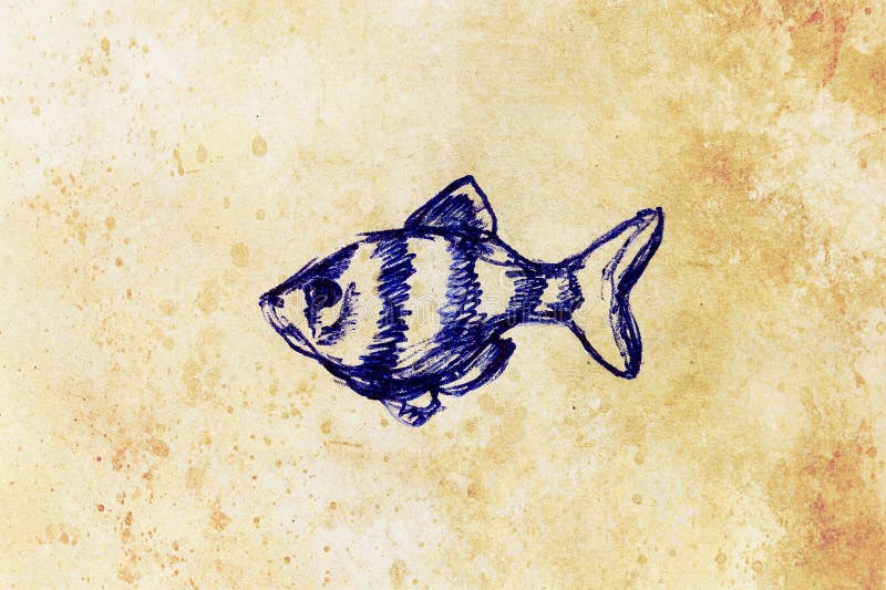 The pen drawing aquarium fish on old paper. The pencil drawing aquarium fish on old paper royalty free illustration