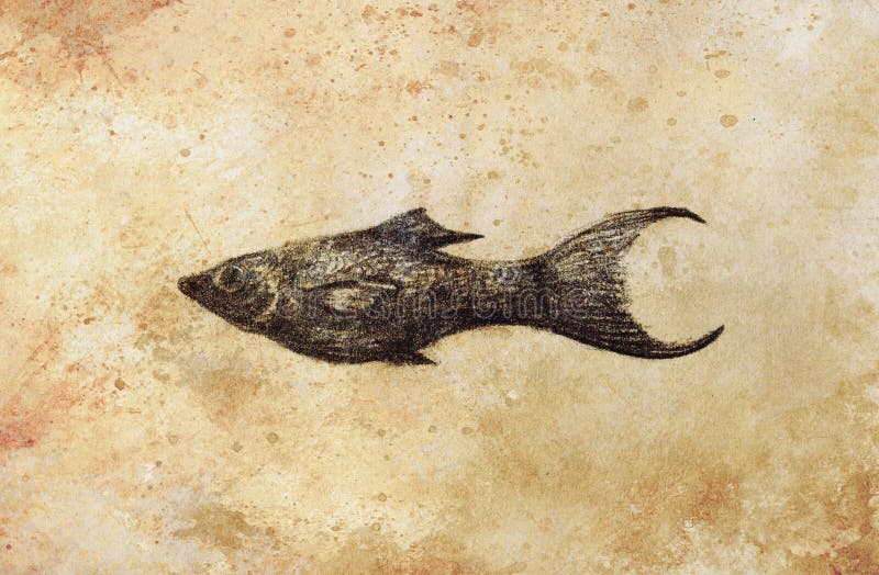 The pencil drawing aquarium fish on old paper. The pencil drawing aquarium fish on old paper royalty free illustration