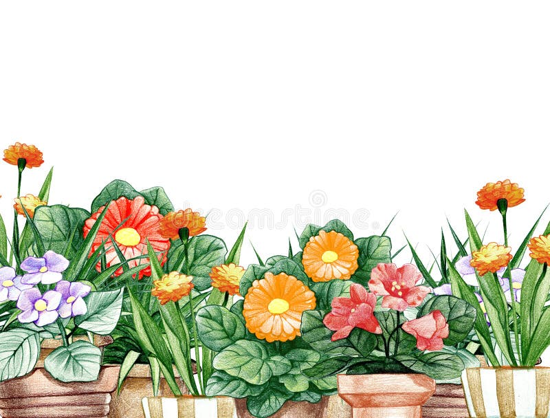 Pencil illustration of a flower bed. Isolated on white vector illustration