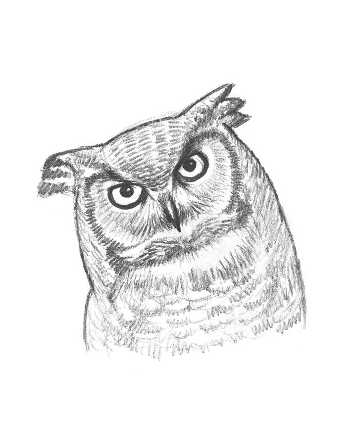 A pencil sketch of an owl stock illustration