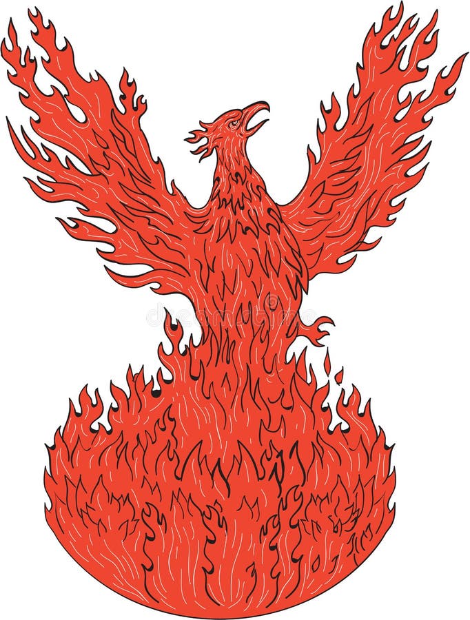 Phoenix Rising Fiery Flames Drawing. Drawing sketch style illustration of a phoenix rising up from fiery flames, wings raised for flight set on isolated white royalty free illustration
