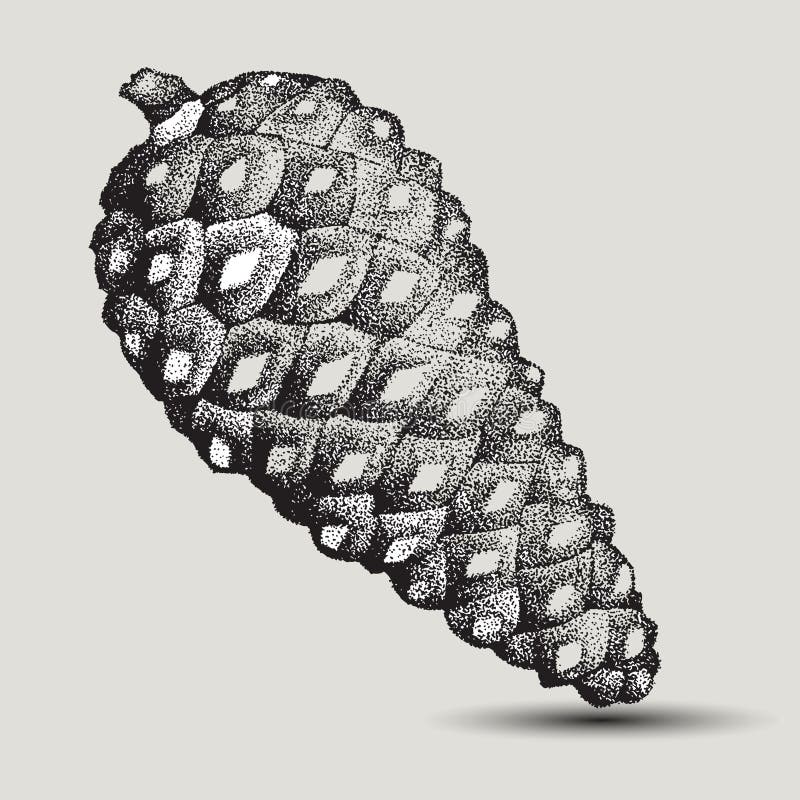 Pine cone spruce, hand-drawing. Vector illustration. Pine cone spruce, hand-drawing. Vector royalty free illustration