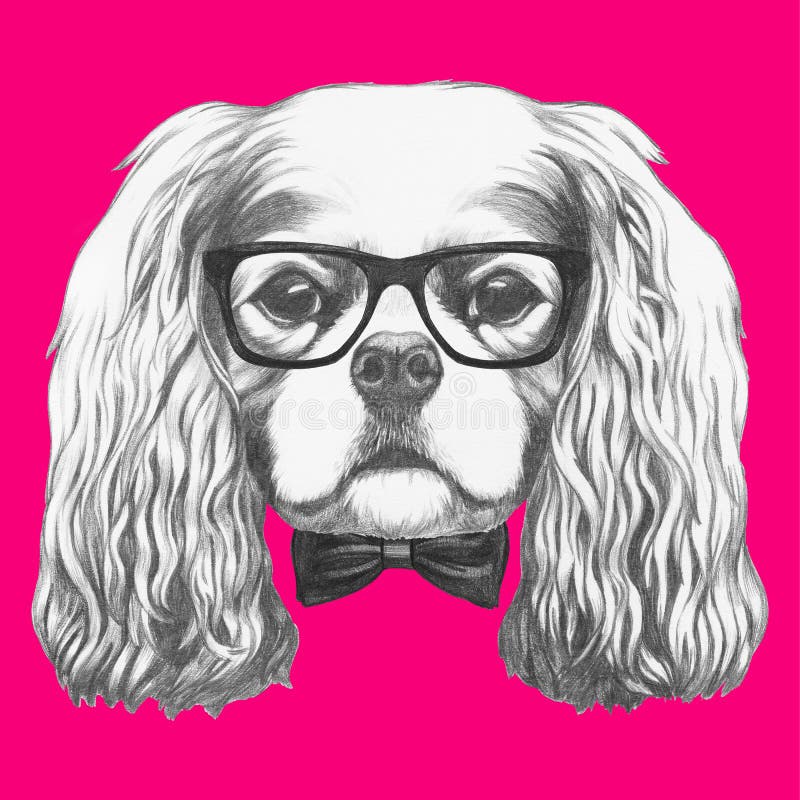 Portrait of Cavalier King Charles Spaniel with glasses and bow tie. royalty free illustration