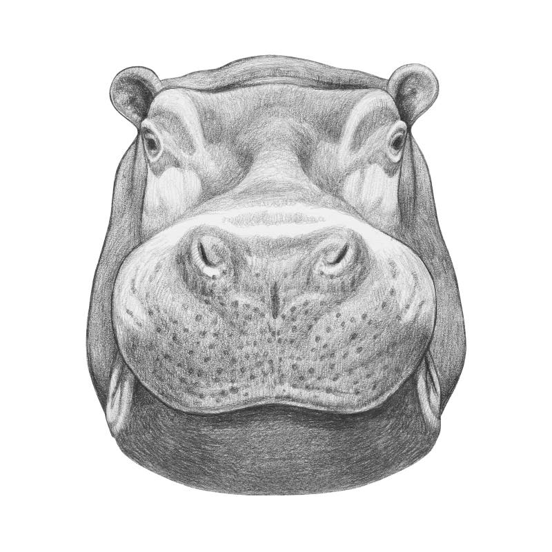 Portrait of Hippo. stock illustration