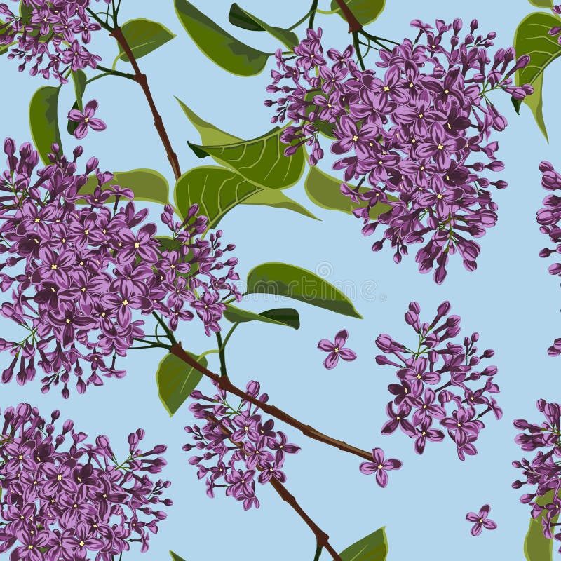 Spring floral background. Branch of a blossoming Lilac seamless pattern. Blue background royalty free illustration