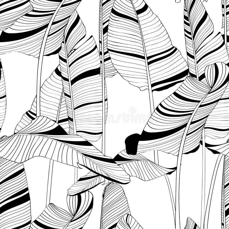 Seamless banana leaf pattern background. Black and white with drawing line art illustration. White backdrop royalty free illustration