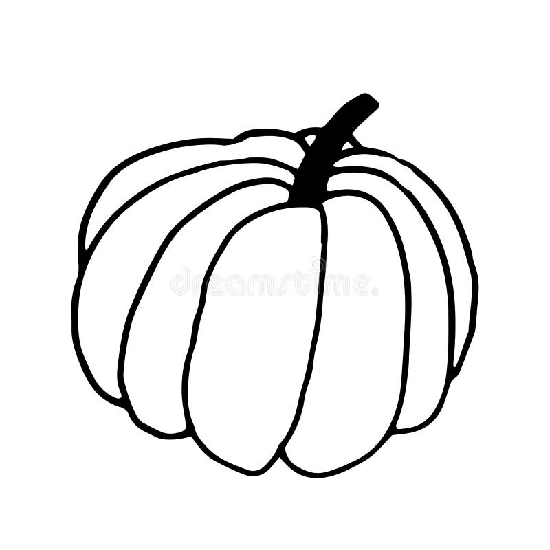 Pumpkin in doodle style on isolated white background. Thanksgiving Day, Halloween pumpkin icon. Vector autumn illustration. vector illustration