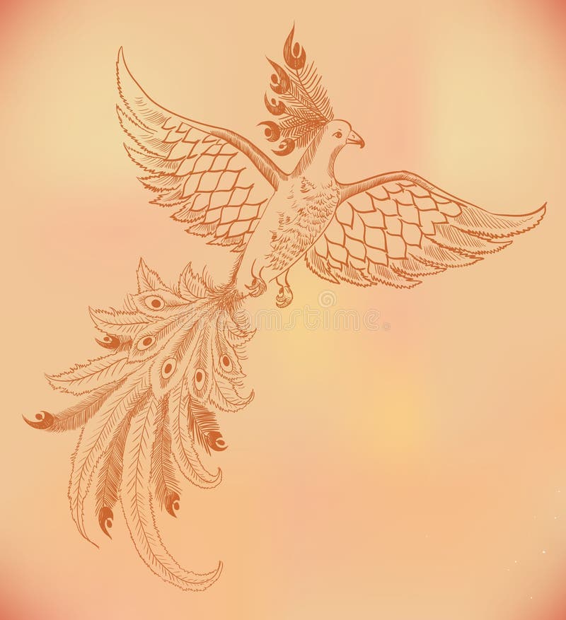 Red phoenix drawing background. Vector firebird hand-drawn illustration, red phoenix drawing background vector illustration