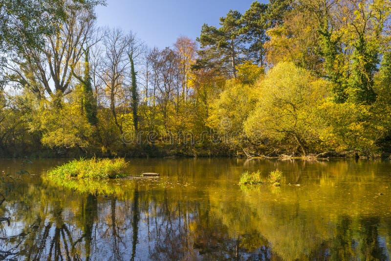 River in autumn stock photography