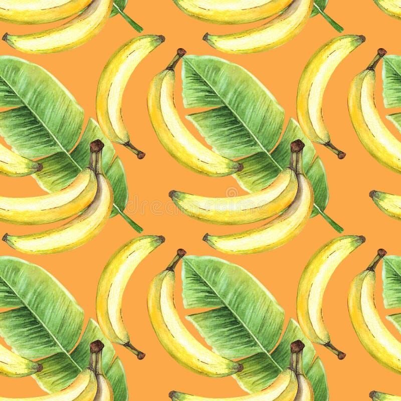 Seamless background of watercolor drawings of fruits yellow bananas and tropical banana green leaf. Seamless background of watercolor drawings of fruit yellow stock illustration
