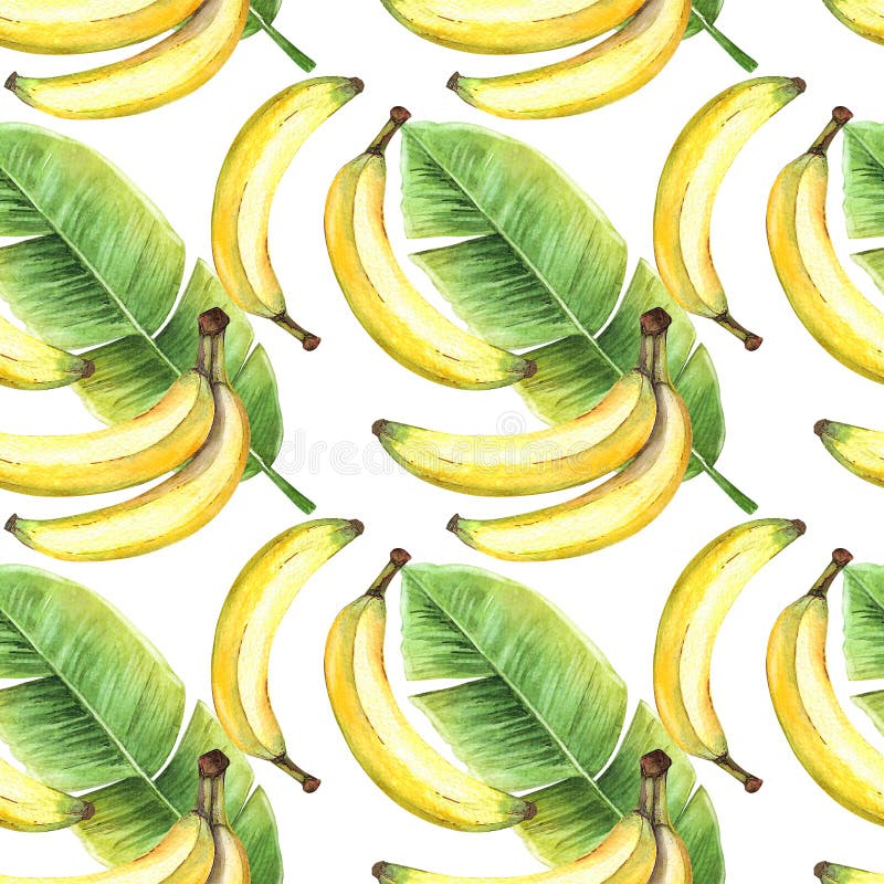 Seamless background of watercolor drawings of bananas and tropical banana green leaves. Seamless background of watercolor drawings of fruits yellow bananas and stock illustration