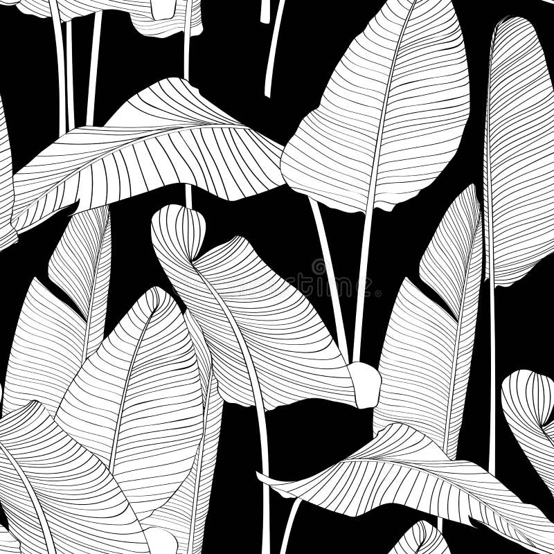 Seamless banana leaf pattern background. Black and white with drawing line art illustration. Black backdrop stock illustration