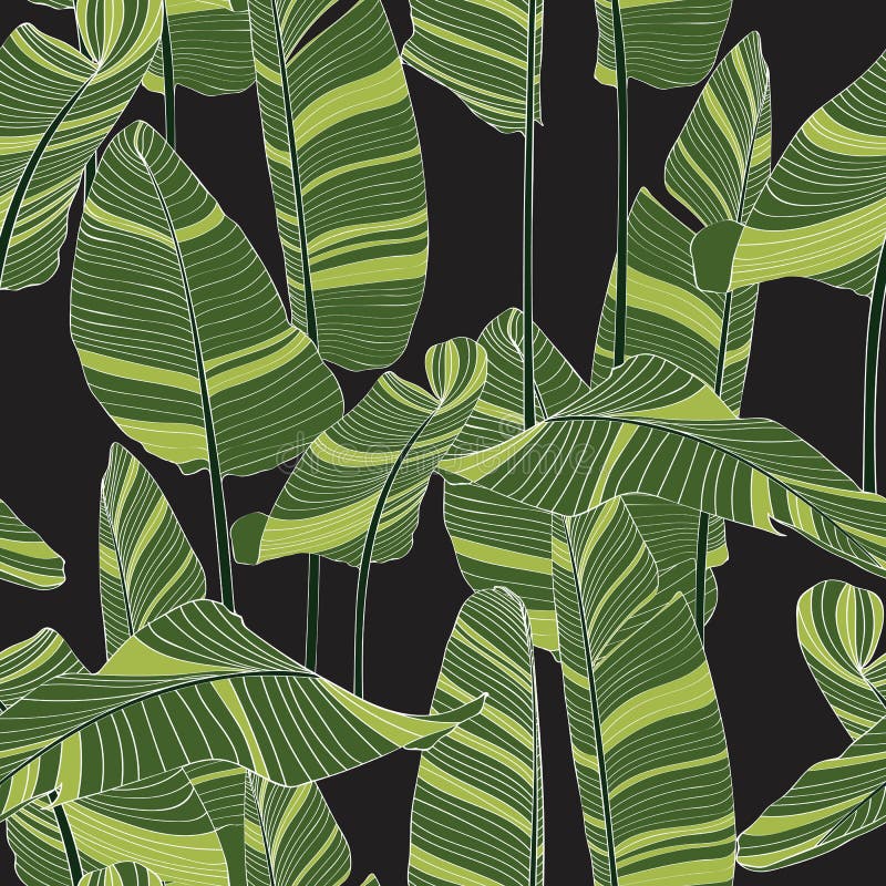 Seamless banana leaf pattern background. Simple green drawing line art illustration. Black background vector illustration