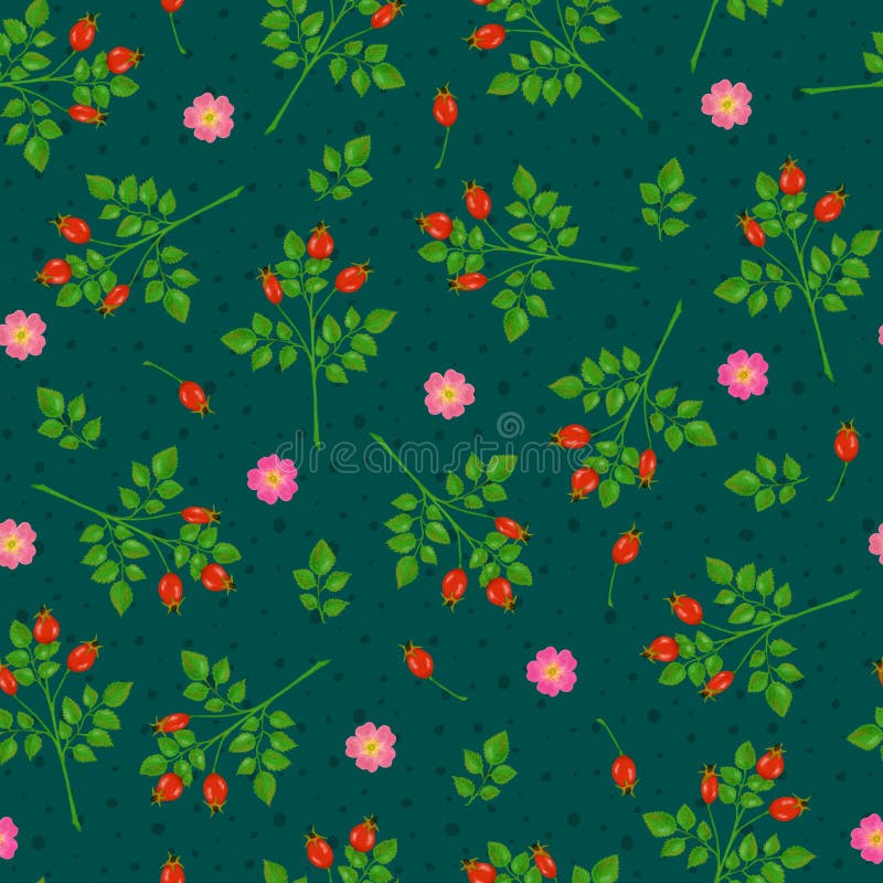 Seamless pattern with dogrose flowers, rosehip and branches stock illustration Seamless pattern with dogrose flowers, rosehip and branches stock illustration