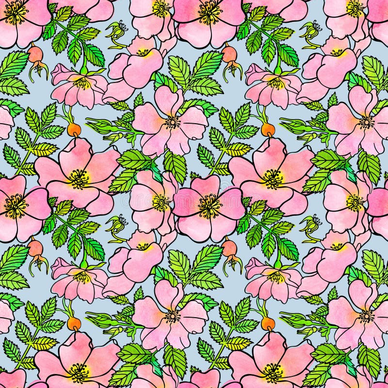 Seamless pattern of sketch dogrose with watercolor vector illustration Seamless pattern of sketch dogrose with watercolor vector illustration