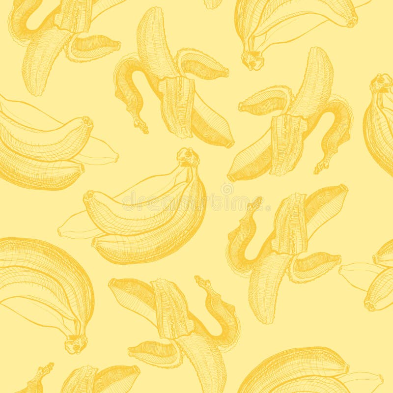 Seamless wallpaper pattern with bananas engraving drawing. Fruit and food themes. Good for wallpaper, textile, background, design of wedding invitation, poster royalty free illustration