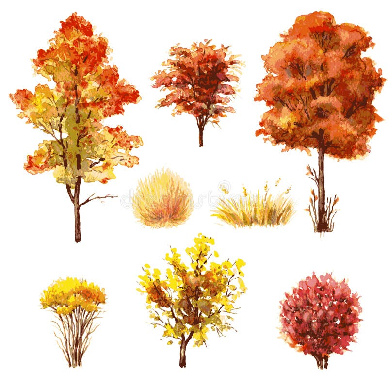 Set of autumn trees and bushes. royalty free illustration