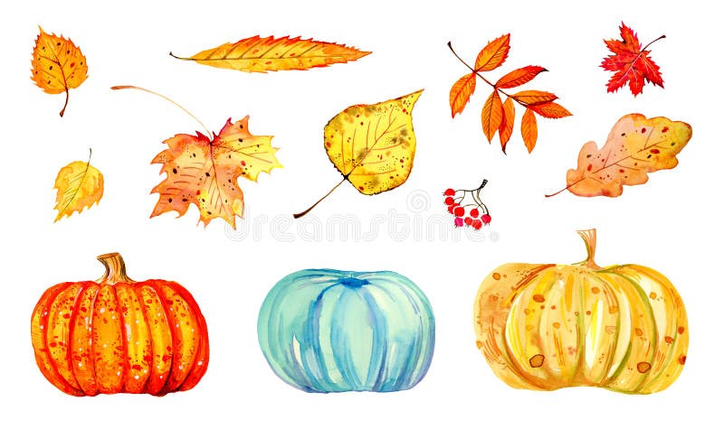 Set of different colorful autumn leaves and pumpkins. Hand drawn watercolor stylized sketch illustration stock illustration