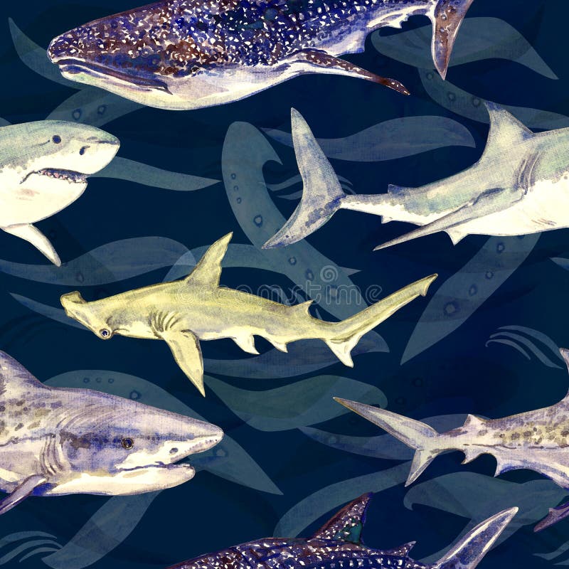 Sharks variety: Blue, Tiger, Whale and Hammerhead, hand painted watercolor illustration, seamless pattern on dark blue. Green ocean surface with waves stock illustration Sharks variety: Blue, Tiger, Whale and Hammerhead, hand painted watercolor illustration, seamless pattern on dark blue. Green ocean surface with waves stock illustration