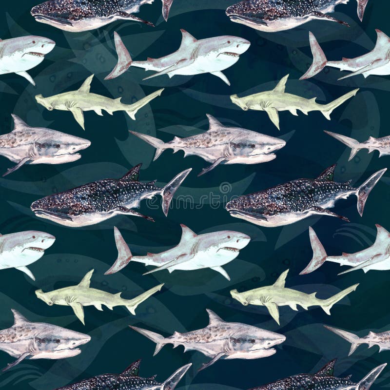 Sharks variety: Blue, Tiger, Whale and Hammerhead, hand painted watercolor illustration, seamless pattern in dark green ocean. Sharks variety: Blue, Tiger, Whale stock illustration Sharks variety: Blue, Tiger, Whale and Hammerhead, hand painted watercolor illustration, seamless pattern in dark green ocean. Sharks variety: Blue, Tiger, Whale stock illustration