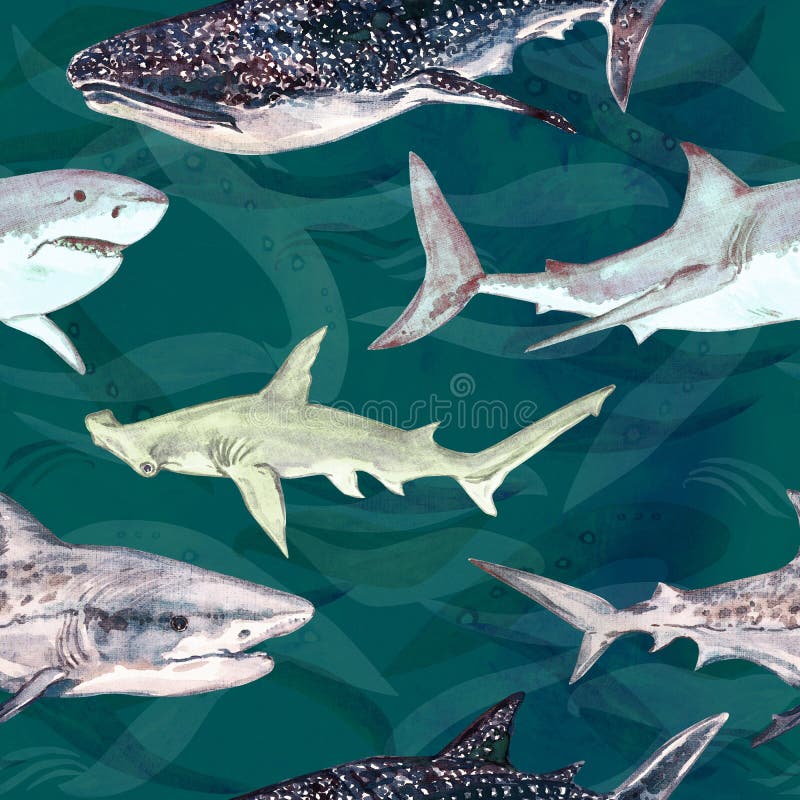 Sharks variety: Blue, Tiger, Whale and Hammerhead, hand painted watercolor illustration, seamless pattern on dark green. Ocean surface with waves background stock illustration Sharks variety: Blue, Tiger, Whale and Hammerhead, hand painted watercolor illustration, seamless pattern on dark green. Ocean surface with waves background stock illustration