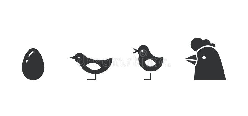 Silhouettes of chicken growth stages from egg to adult bird. Black and white vector illustration royalty free illustration