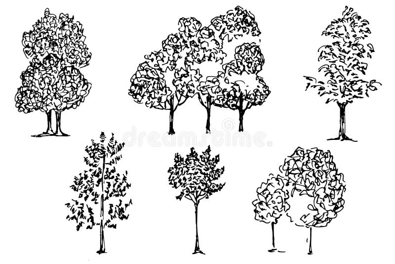 Silhouettes of trees, garden crops, park, black and white vector illustration. isolated on white stock illustration