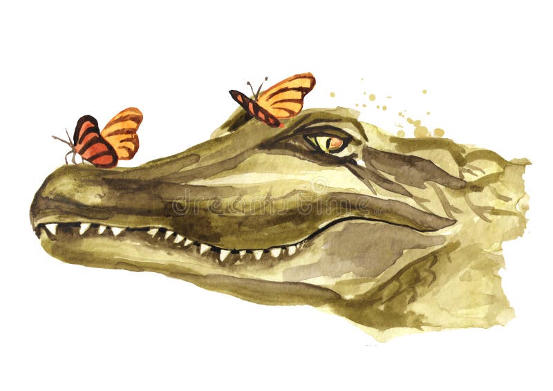 The smiling muzzle or head of a crocodile or Alligator with butterfly. Watercolor hand drawn illustration, isolated on white. Background vector illustration