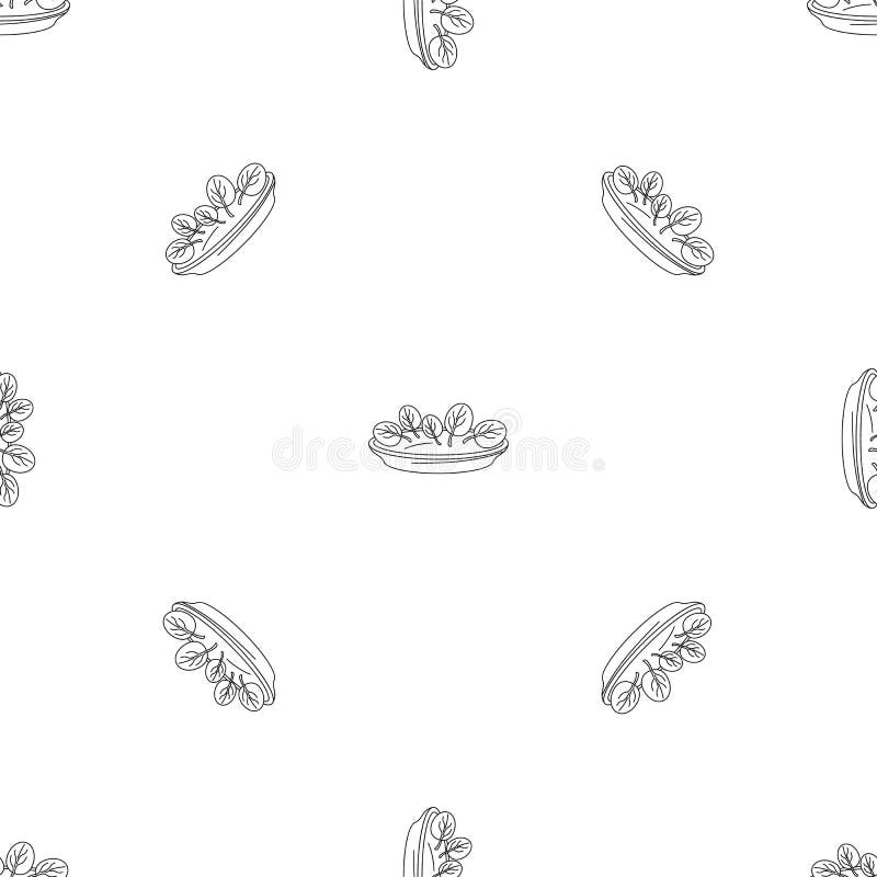 Spinach plate pattern seamless vector royalty free illustration