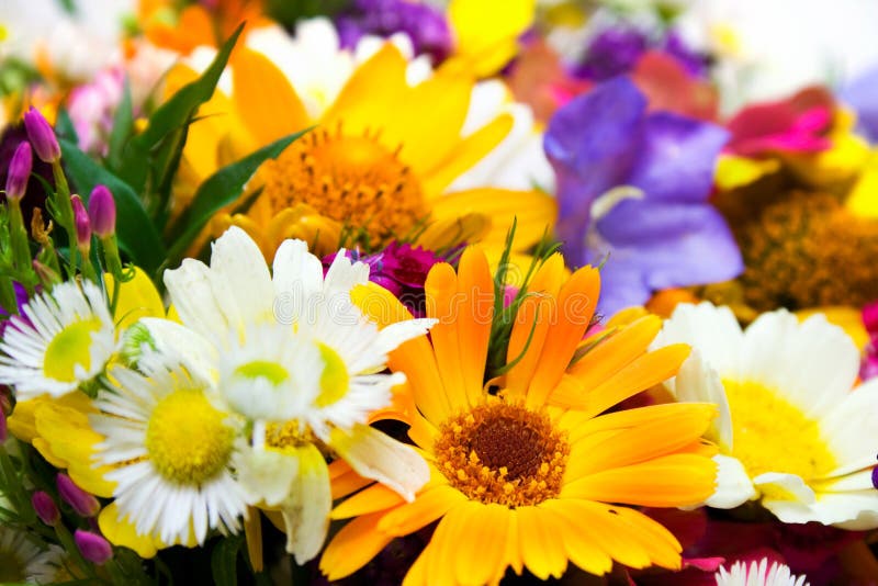 Spring Flowers Bouquet stock images
