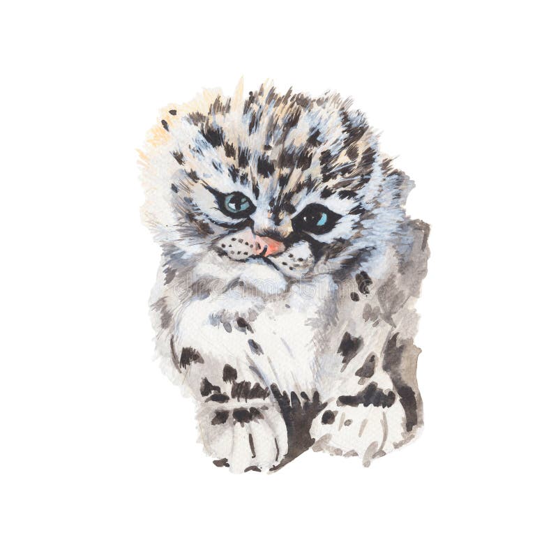 Tiger Watercolor painting isolated. Watercolor hand painted Tiger illustrations.Tiger isolated on white background. Tiger Watercolor painting isolated.Watercolor royalty free illustration Tiger Watercolor painting isolated. Watercolor hand painted Tiger illustrations.Tiger isolated on white background. Tiger Watercolor painting isolated.Watercolor royalty free illustration